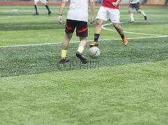 GAMING,双十一必抢,全能显卡,OD体育官网,OD体育平台,OD体育链接,OD体育官方