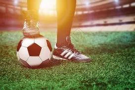 激战预告,悉尼,惠灵顿凤凰,OD体育官网,OD体育平台,OD体育链接,OD体育官方