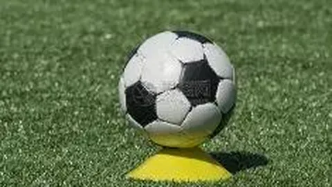 “西南联大校友足球友谊赛成功举办”